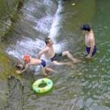 蓬萊野溪清涼一夏！